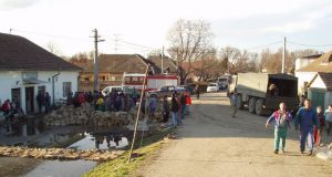 Prevareni u Slovačkoj: Iz Evrope bez ijednog evra