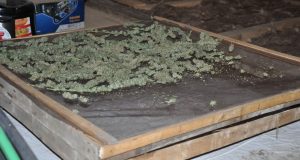 Uhapšen zbog više od 3 kilograma droge