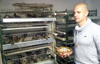 Jaje prepelice za lek i zaradu Stefan Milošev