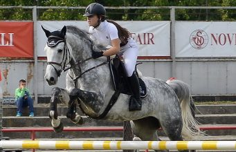 Ljubav prema konjičkom sportu