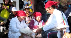 У Остојићеву летело перје и паперје, као некад Такмичење у черупању гусака у Остојићеву.