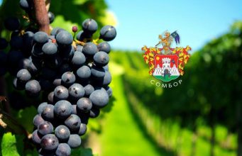 Vinski festivali i vinarije u Somboru: Harmonija mirisa i ukusa koja ostaje dugo na nepcima