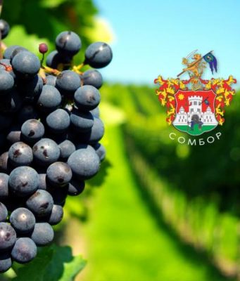 Vinski festivali i vinarije u Somboru: Harmonija mirisa i ukusa koja ostaje dugo na nepcima