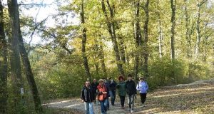 Festival rakije – Sto fela rakije Jugoslavije u Bačkom Monoštoru