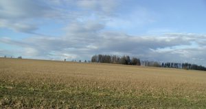 Paori nezadovoljni licitacijama