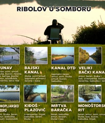 Raj za sve ribolovce: U somborskoj opštini mnoštvo terena za pecaroše